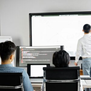 Lead Auditor Development