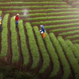 Agricultural Communication & Enterprise