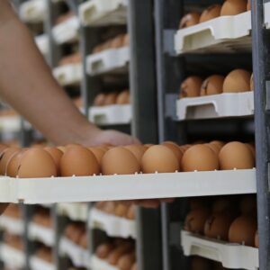 Hatchery Operations
