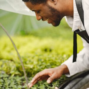 Plant Propagation & Crop Care