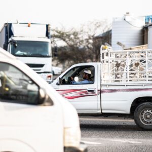 Proficient Road Transport Dangerous Goods Driver