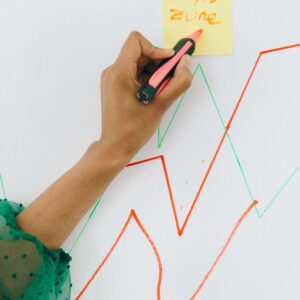 Project & Business Performance Management